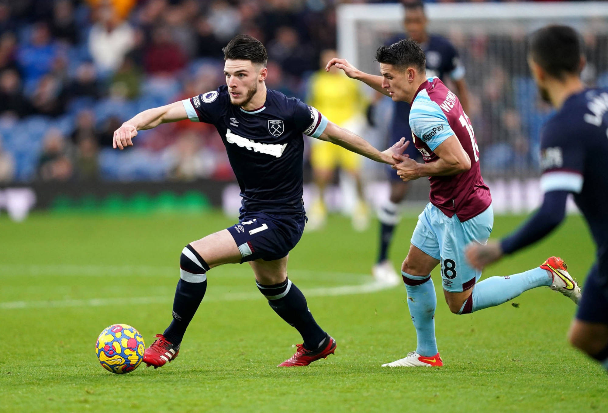 也彻底浇灭 也彻底浇灭